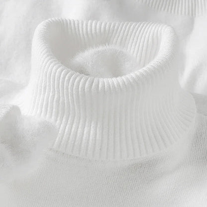 Men's Merino Wool Turtleneck Sweater